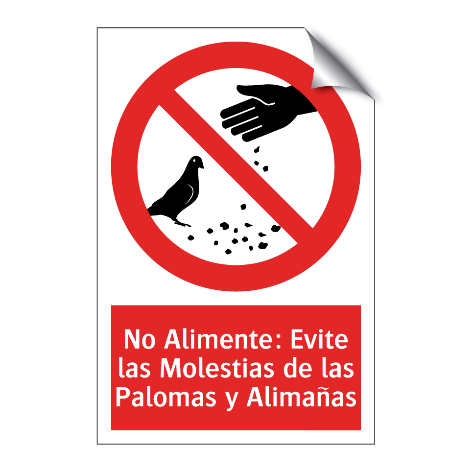No Alimente: Evite las Molestias de las Palomas y Alimañas