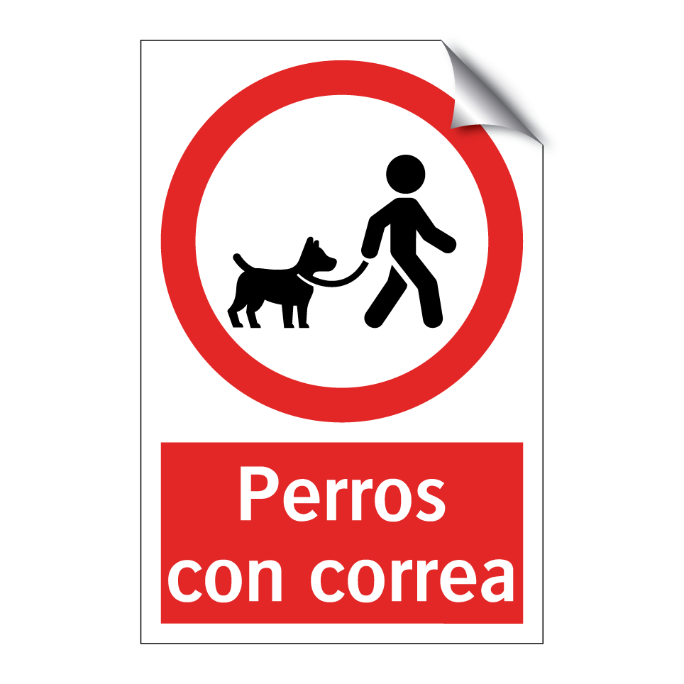 Perros con correa