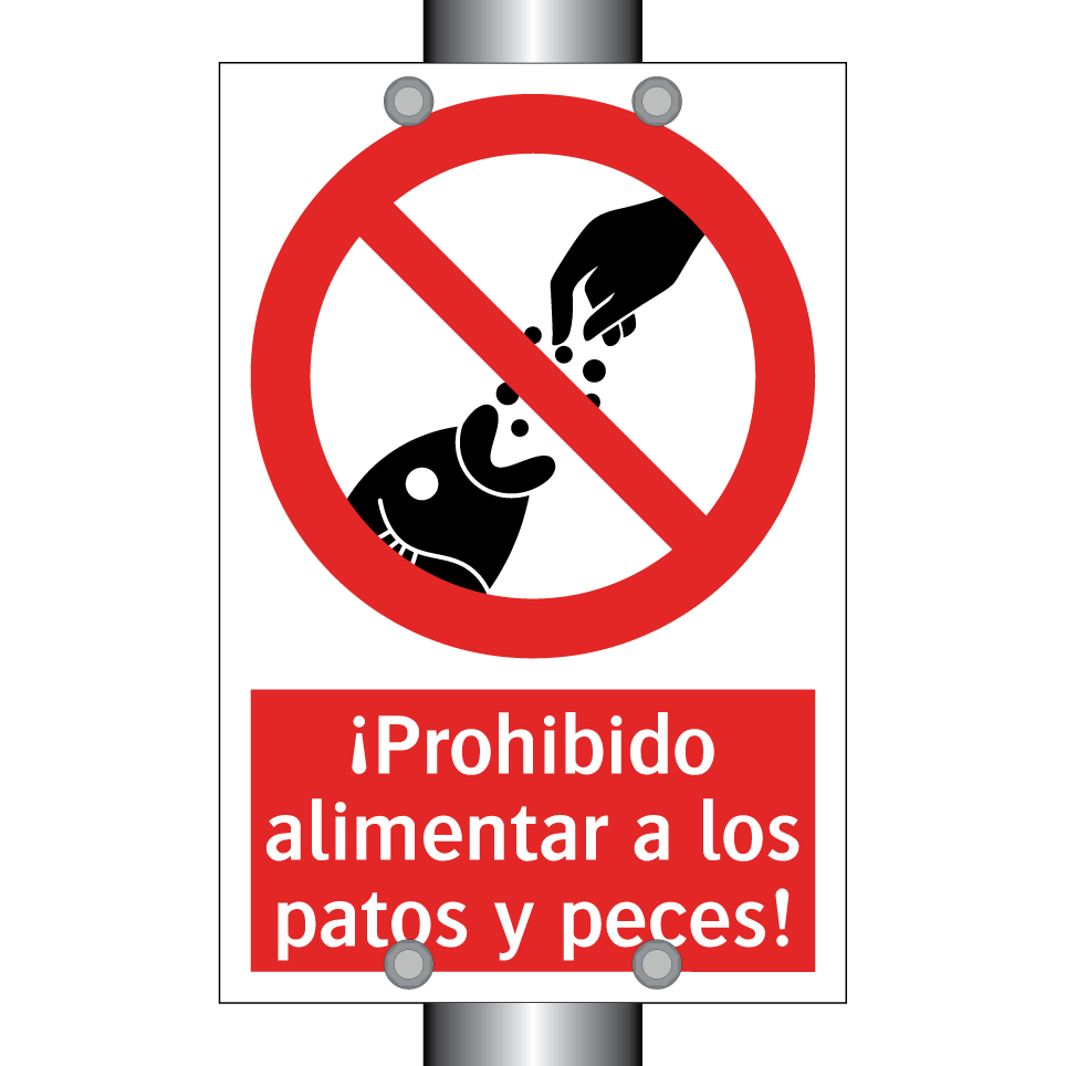 ¡Prohibido alimentar a los patos y peces!