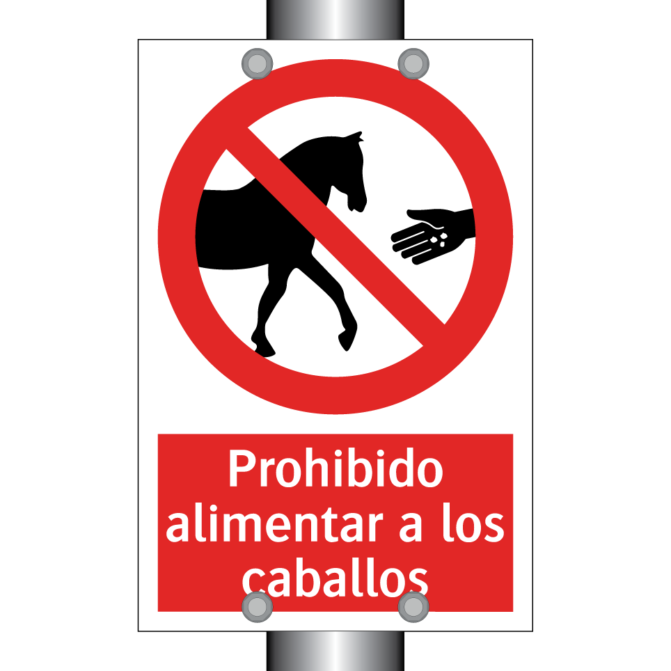 Prohibido alimentar a los caballos