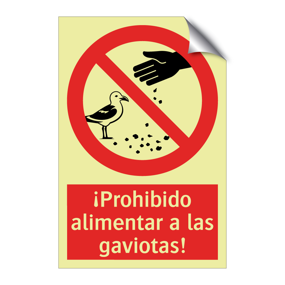 ¡Prohibido alimentar a las gaviotas!