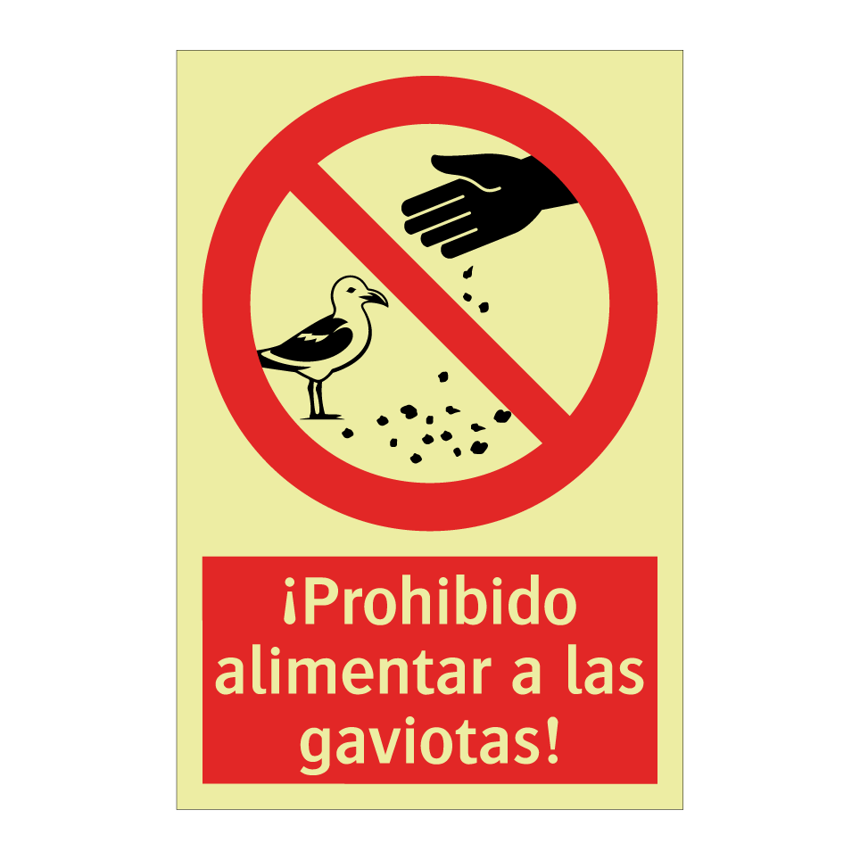 ¡Prohibido alimentar a las gaviotas!