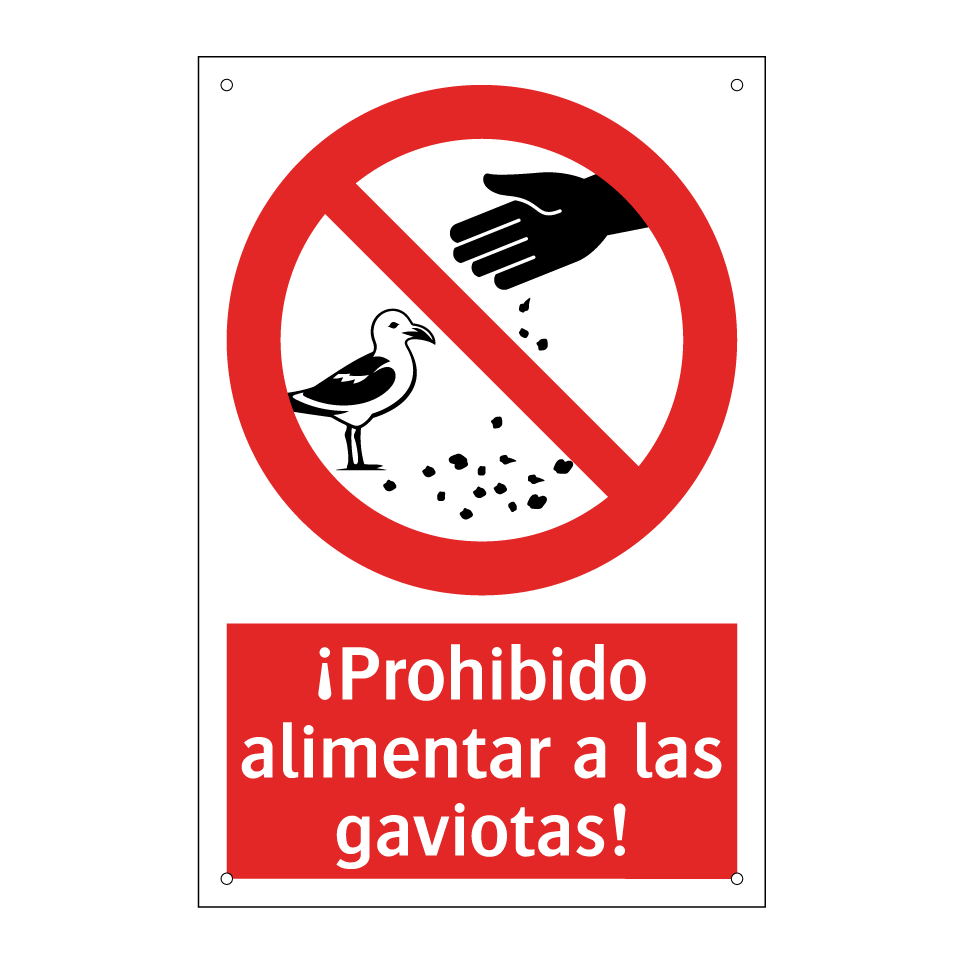 ¡Prohibido alimentar a las gaviotas!