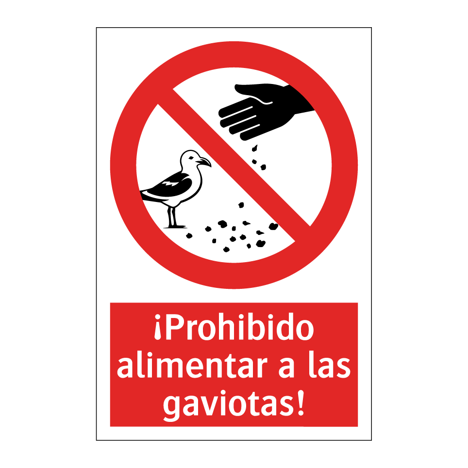 ¡Prohibido alimentar a las gaviotas!