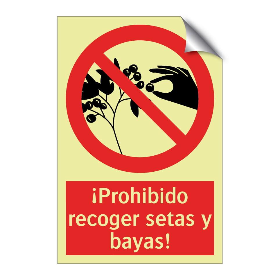¡Prohibido recoger setas y bayas!