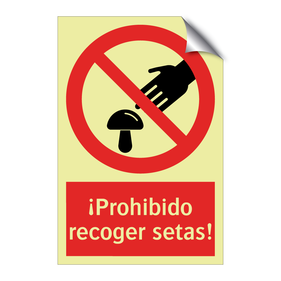 ¡Prohibido recoger setas!