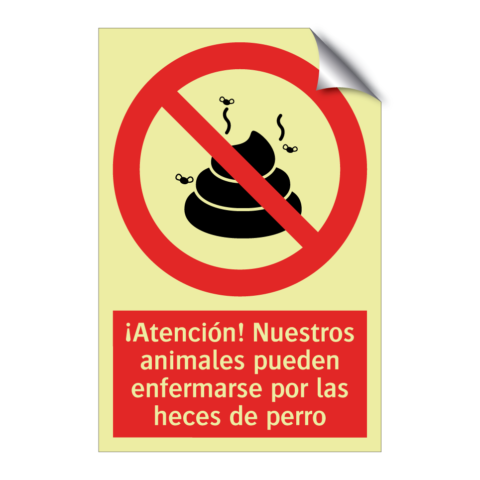 ¡Atención! Nuestros animales pueden enfermarse por las heces de perro