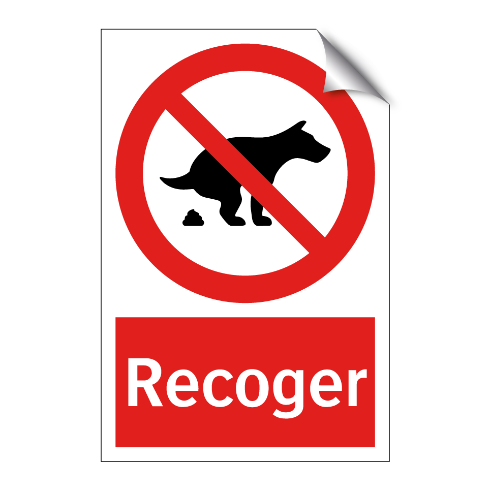 Recoger