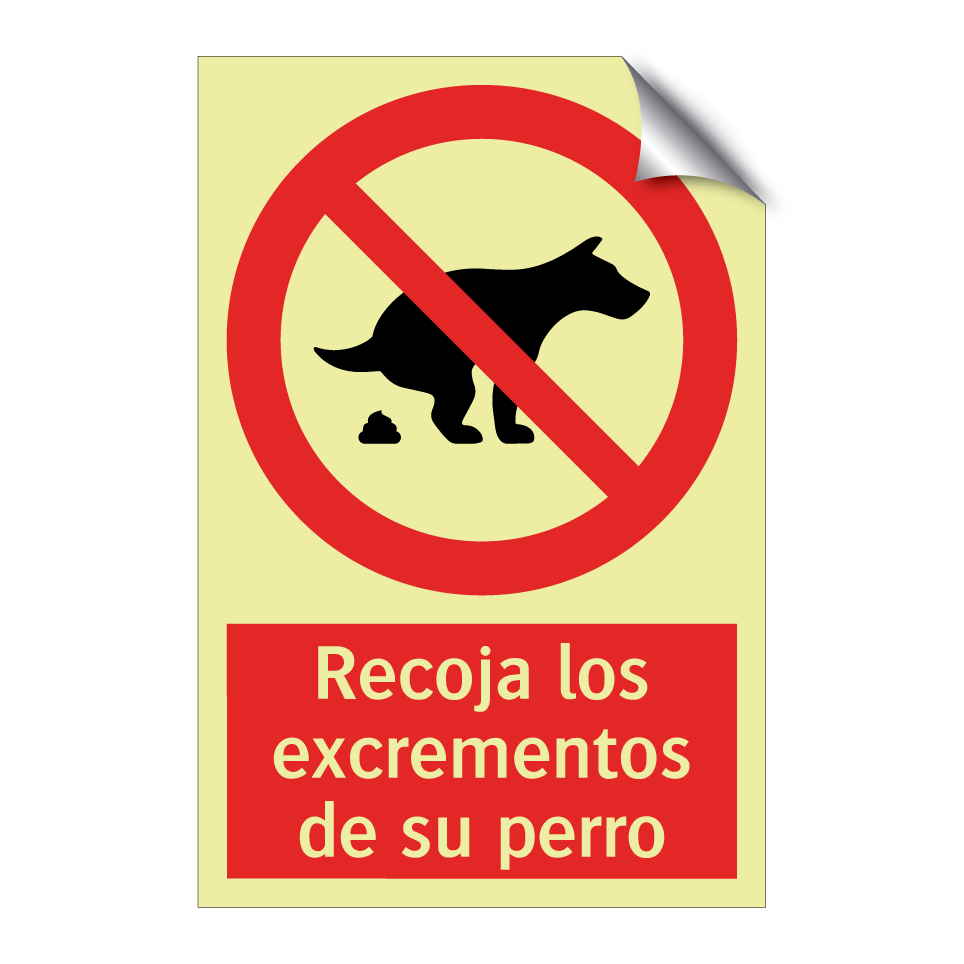 Recoja los excrementos de su perro