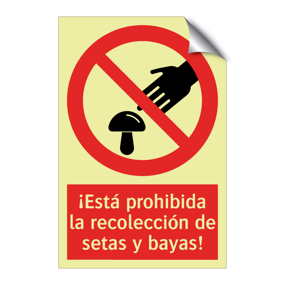 ¡Está prohibida la recolección de setas y bayas!