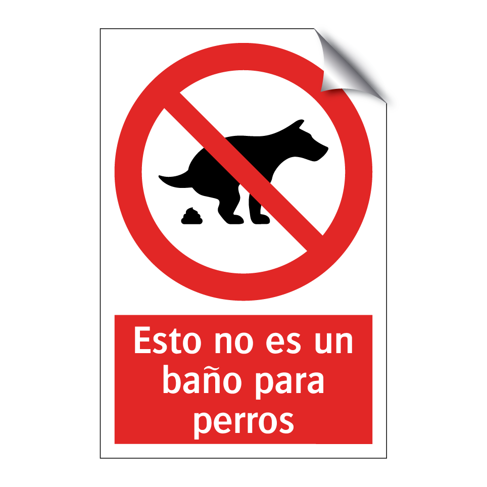 Esto no es un baño para perros