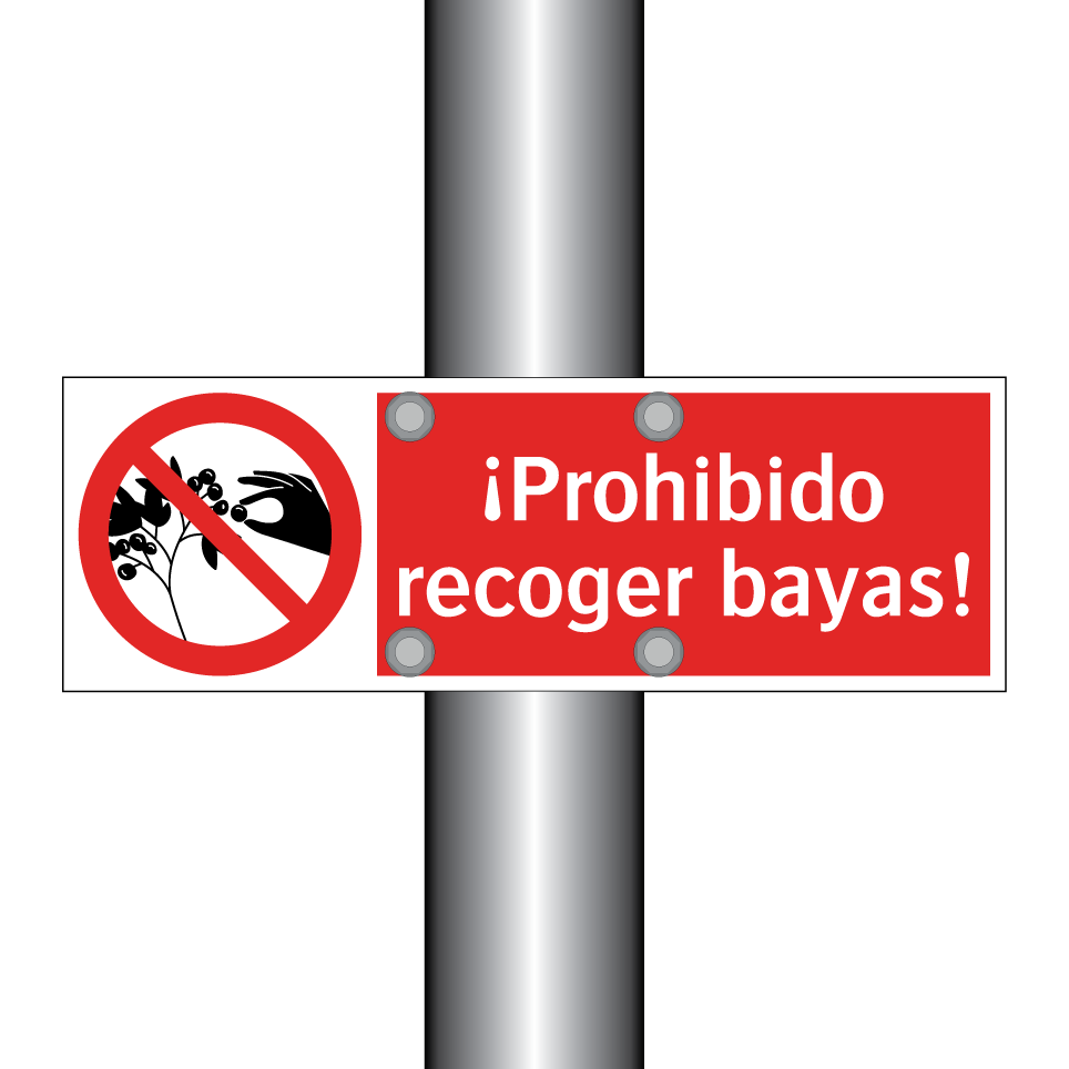 ¡Prohibido recoger bayas!