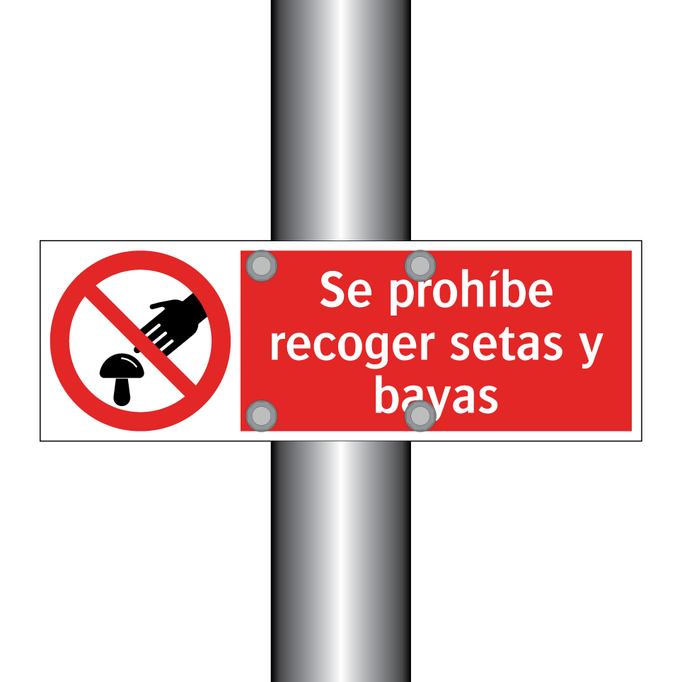 Se prohíbe recoger setas y bayas