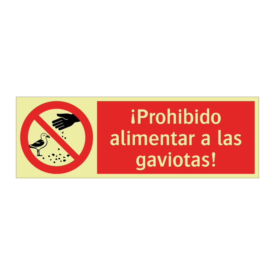 ¡Prohibido alimentar a las gaviotas!