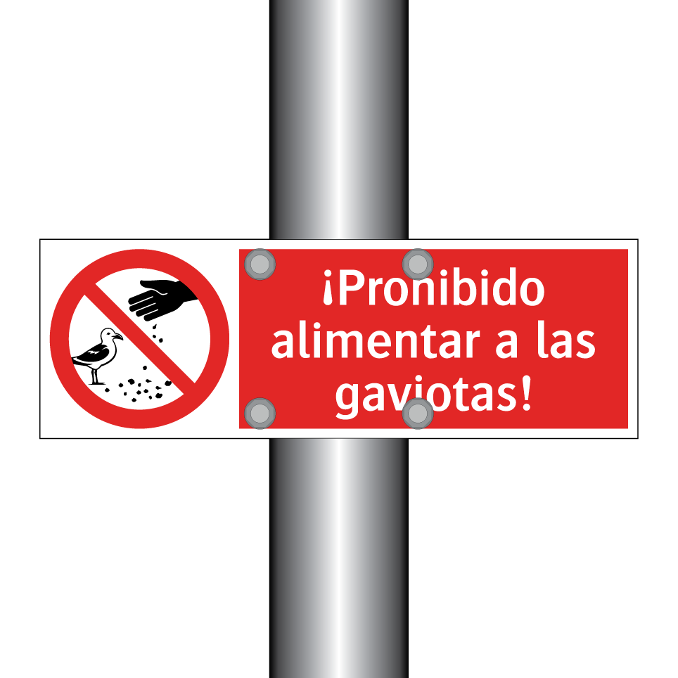 ¡Prohibido alimentar a las gaviotas!