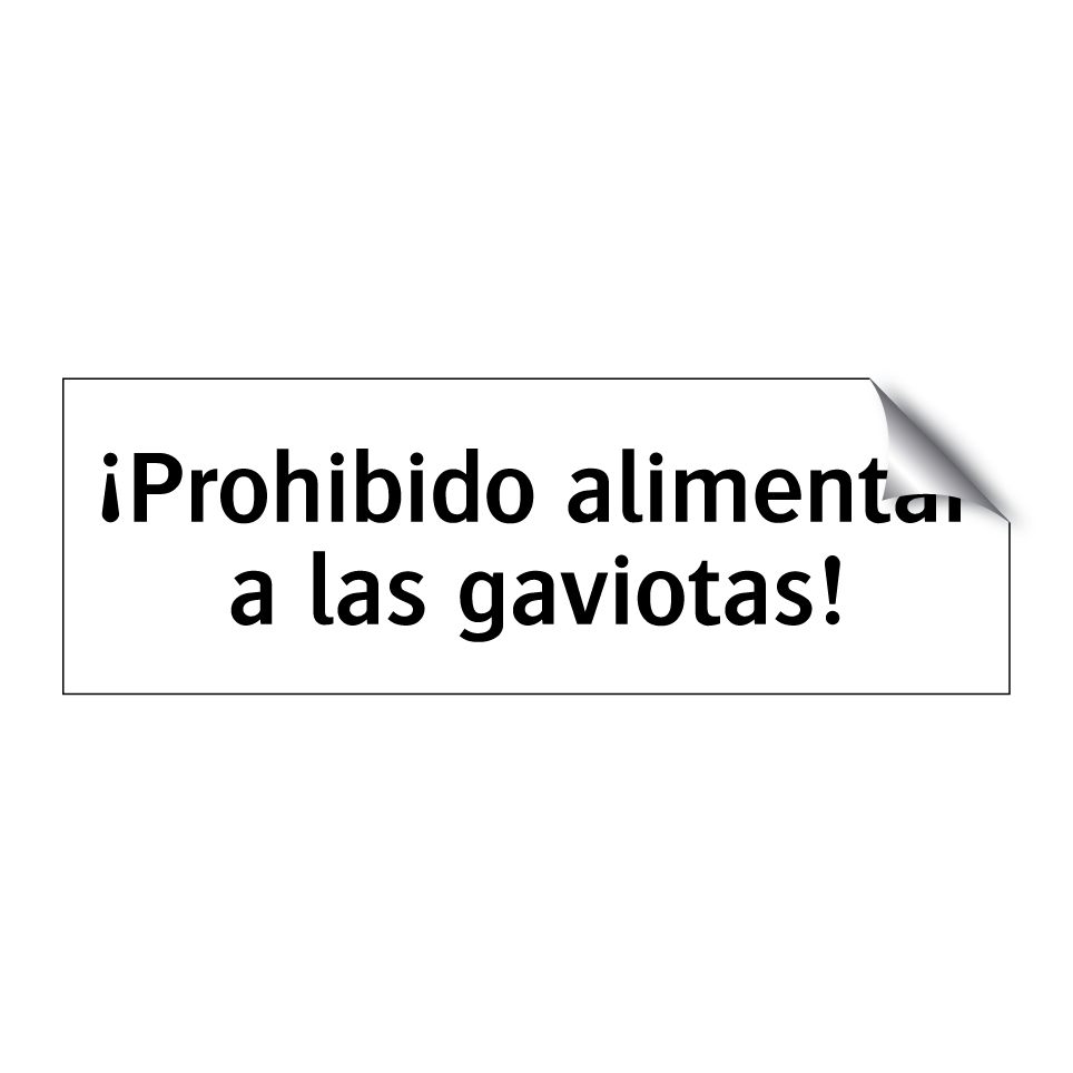¡Prohibido alimentar a las gaviotas!