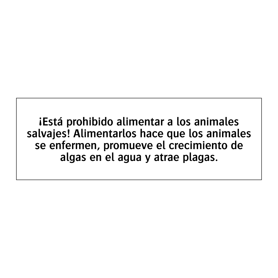 ¡Está prohibido alimentar a los animales salvajes! Alimentarlos hace que los animales se enfermen, promueve el crecimiento de algas en el agua y atrae plagas.