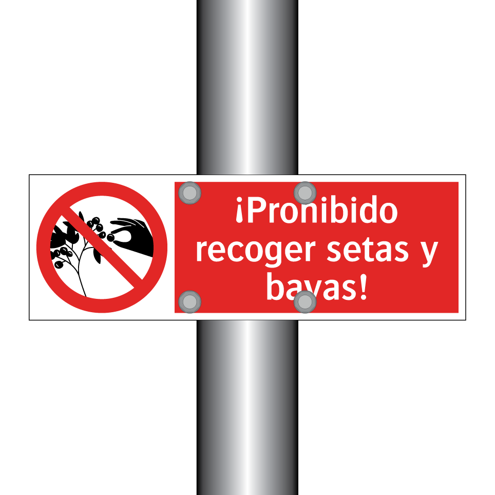 ¡Prohibido recoger setas y bayas!
