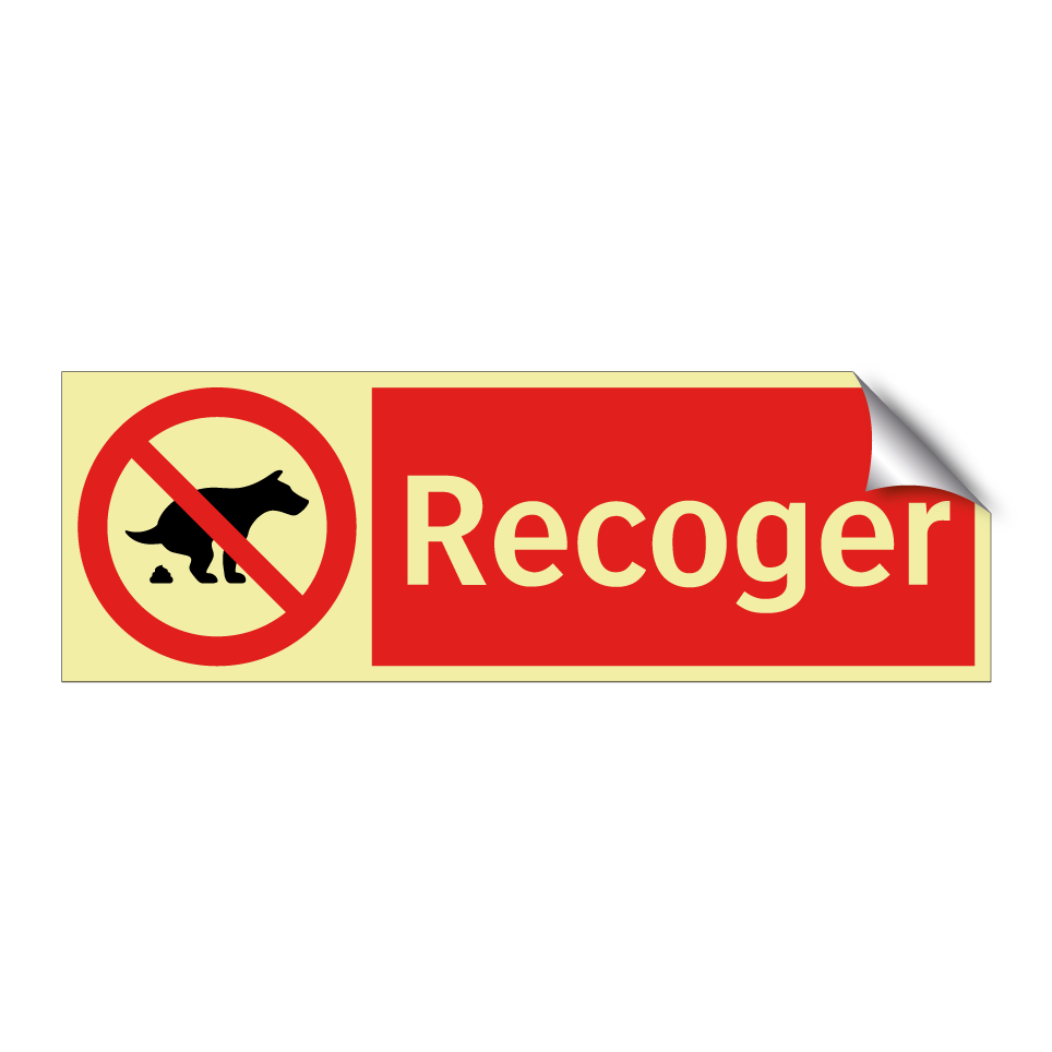 Recoger