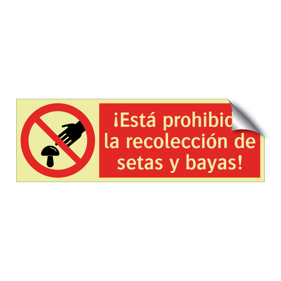 ¡Está prohibida la recolección de setas y bayas!