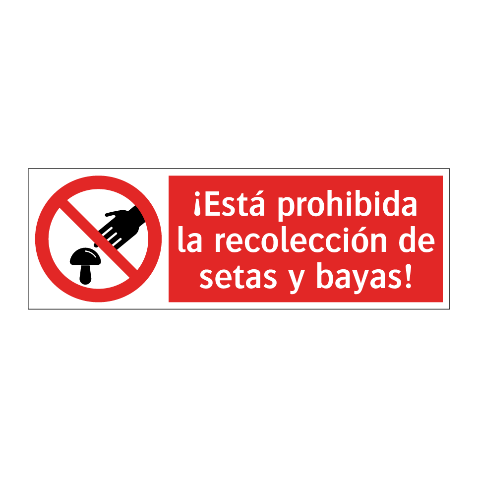 ¡Está prohibida la recolección de setas y bayas!