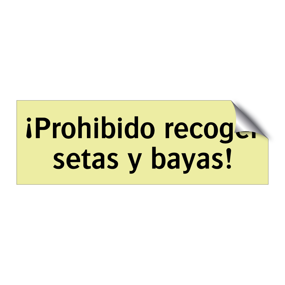 ¡Prohibido recoger setas y bayas!