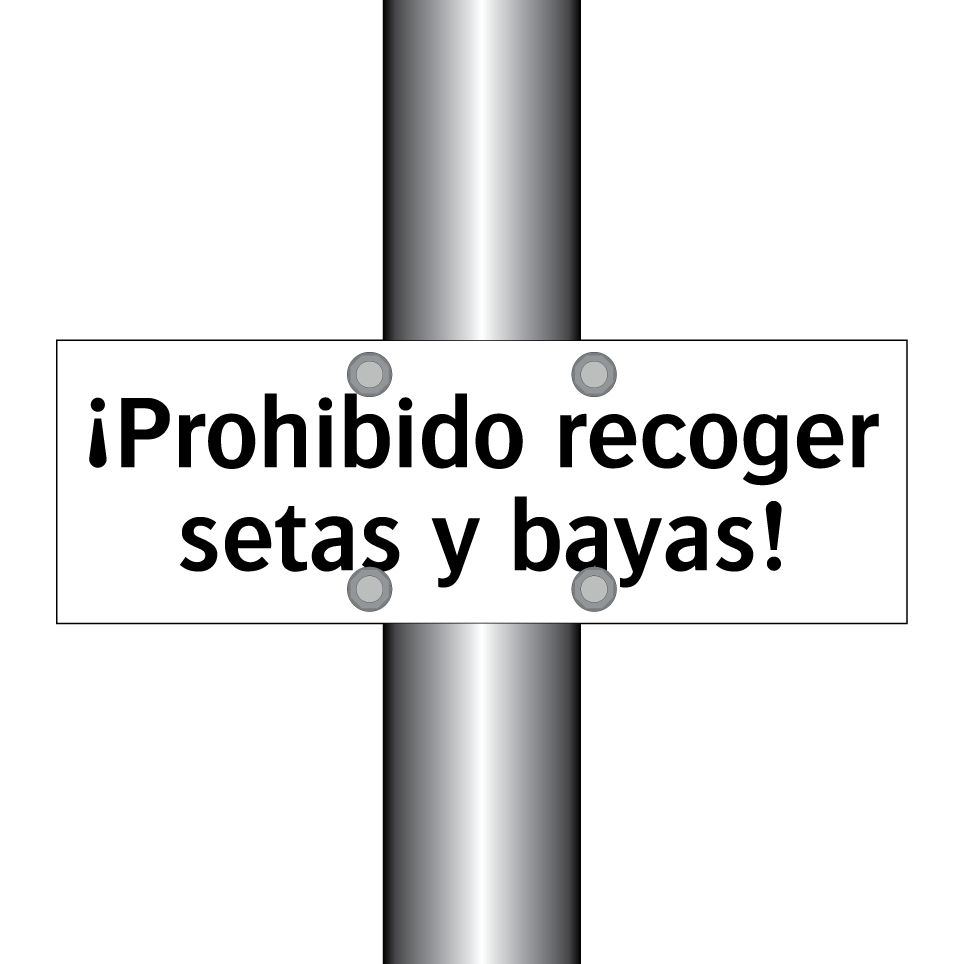 ¡Prohibido recoger setas y bayas!