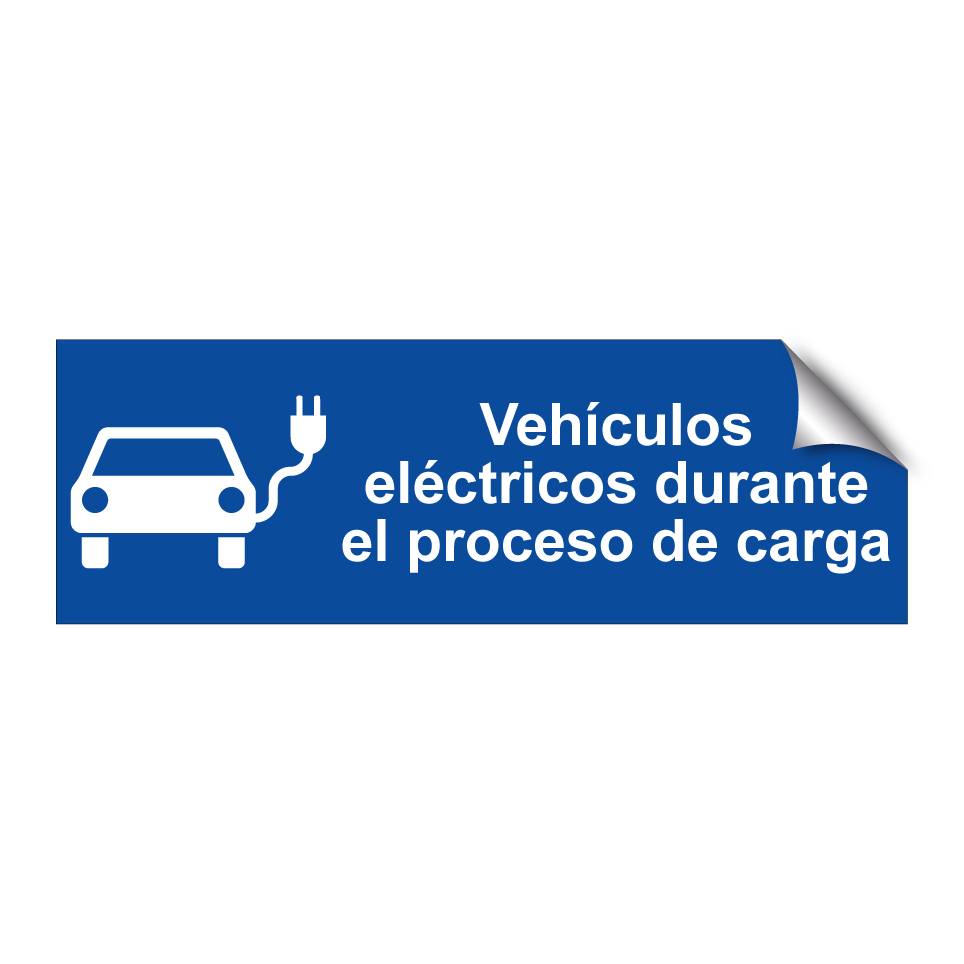 Vehículos eléctricos durante el proceso de carga