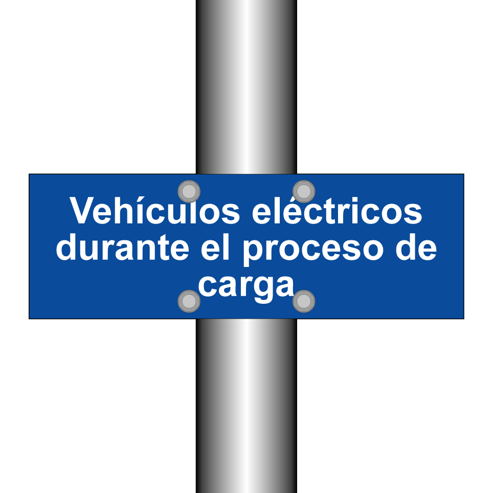 Vehículos eléctricos durante el proceso de carga