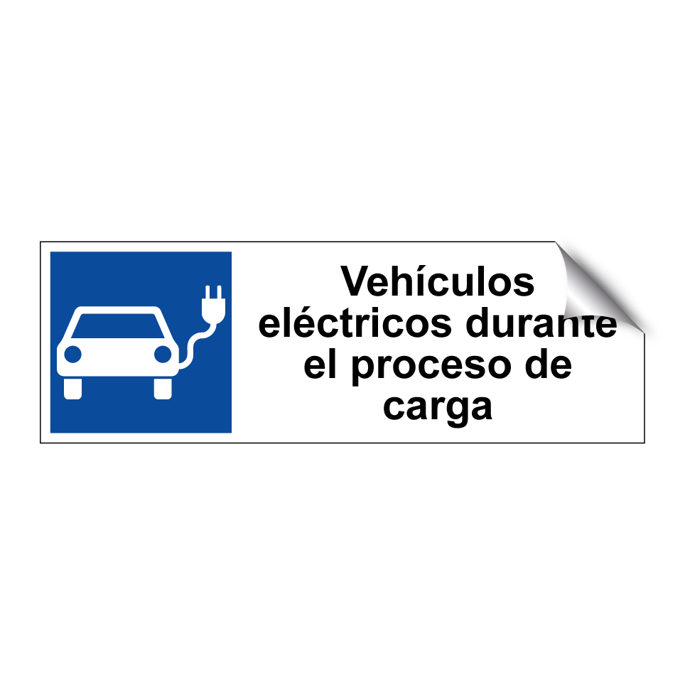 Vehículos eléctricos durante el proceso de carga