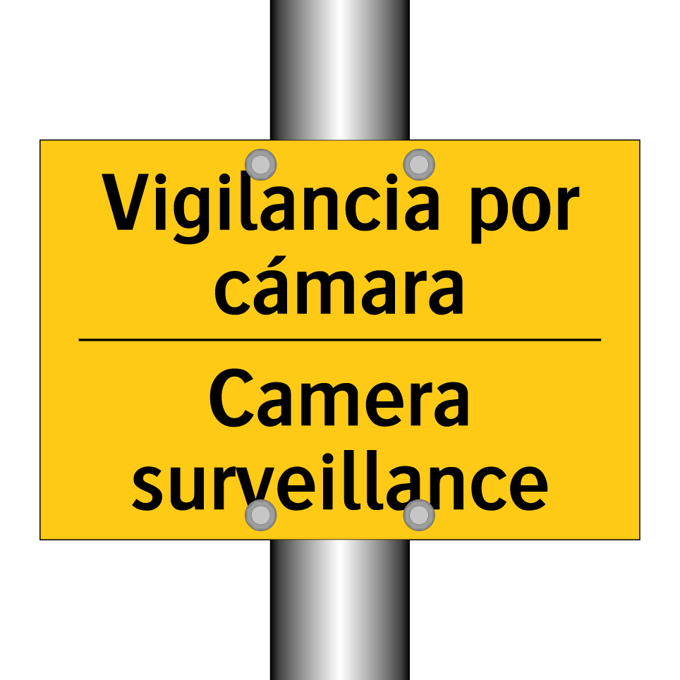 Vigilancia por cámara - Camera surveillance