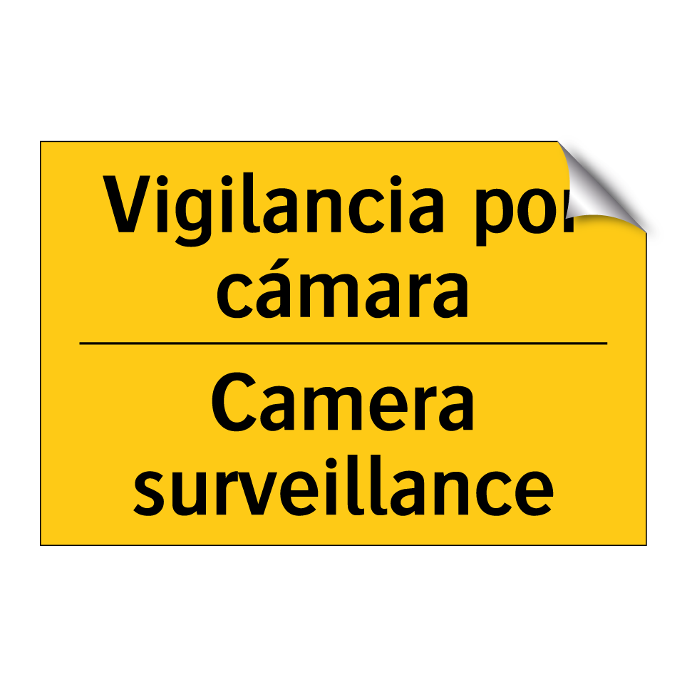 Vigilancia por cámara - Camera surveillance