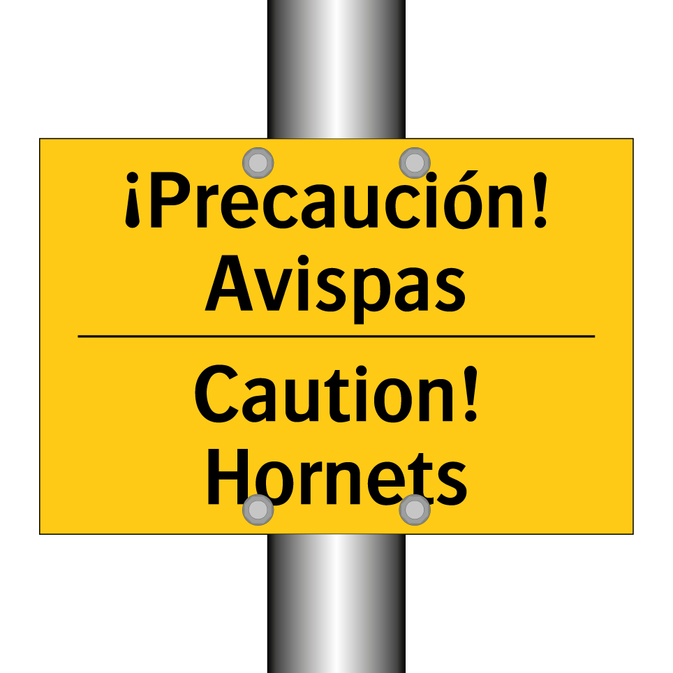 ¡Precaución! Avispas - Caution! Hornets