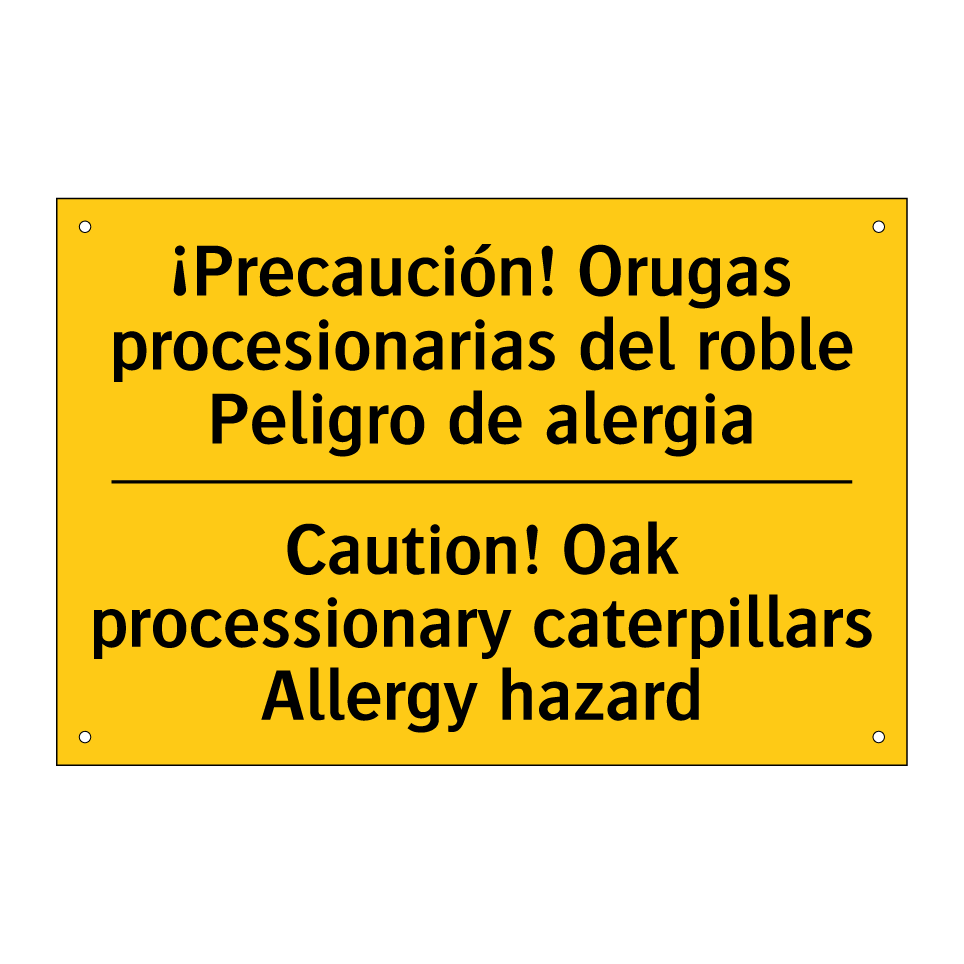 ¡Precaución! Orugas procesionarias del roble Peligro de alergia - Caution! Oak processionary caterpillars Allergy hazard