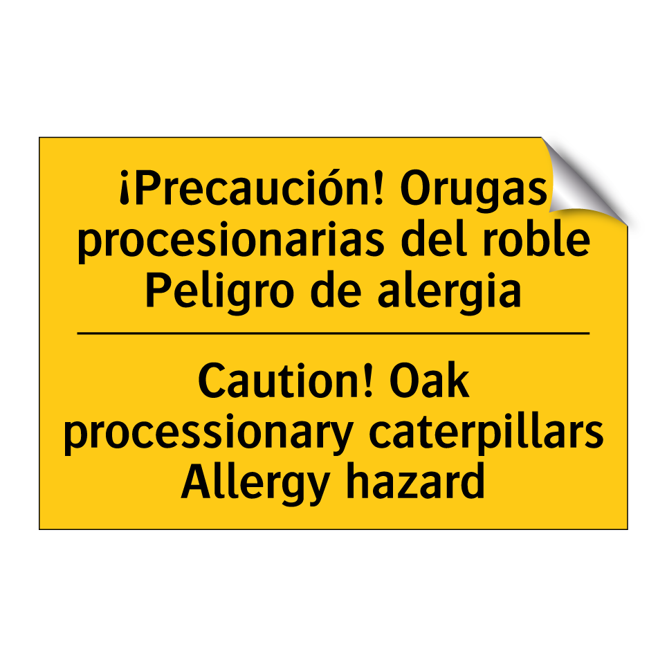 ¡Precaución! Orugas procesionarias del roble Peligro de alergia - Caution! Oak processionary caterpillars Allergy hazard