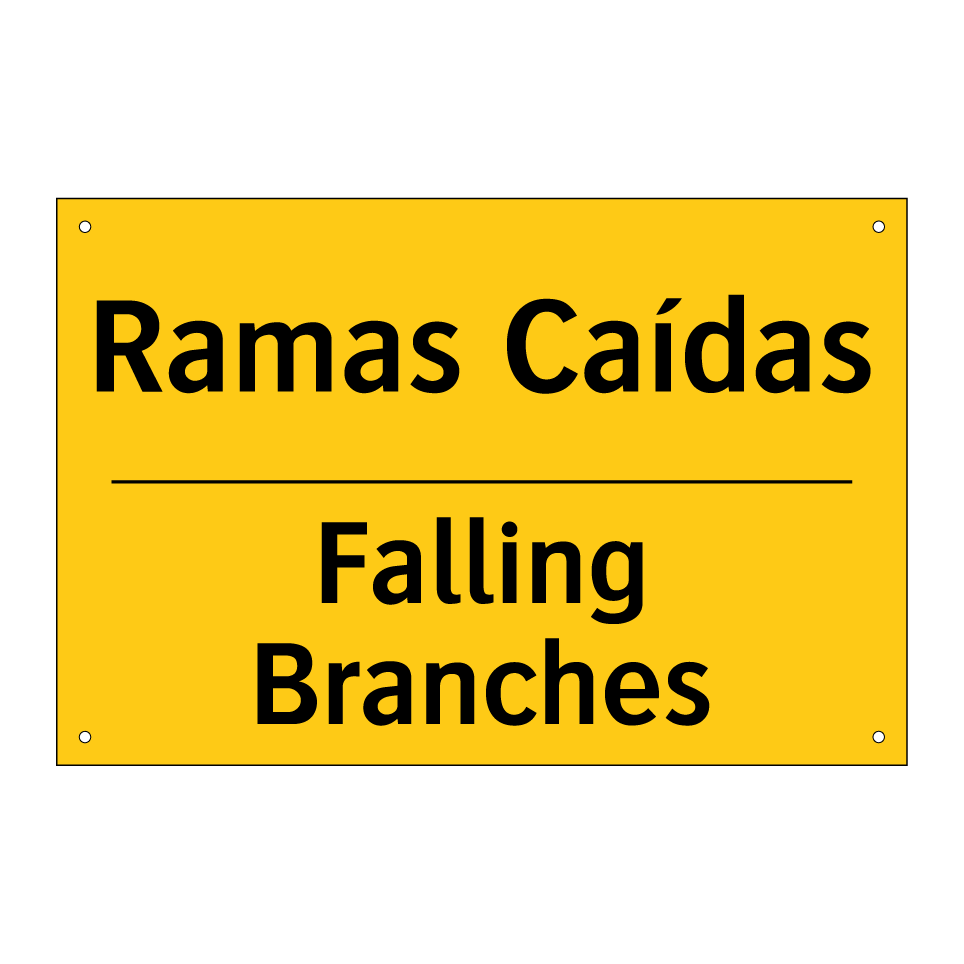 Ramas Caídas - Falling Branches
