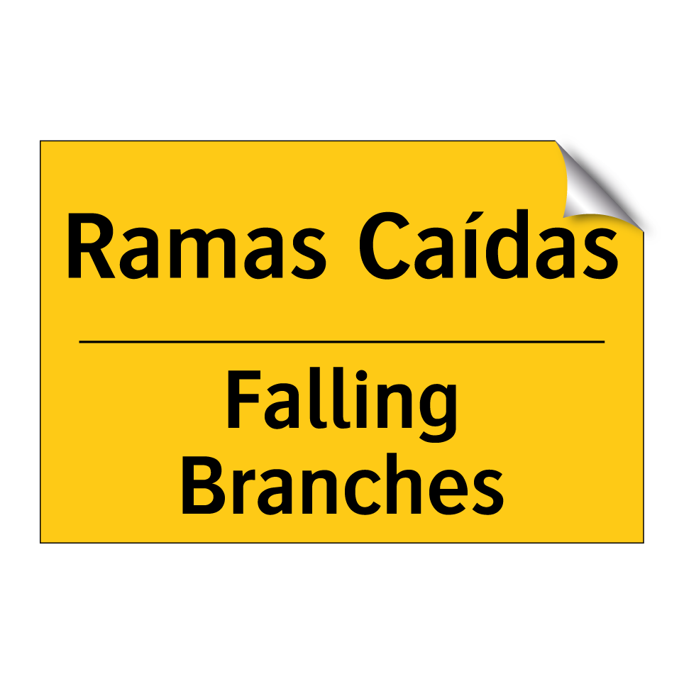 Ramas Caídas - Falling Branches