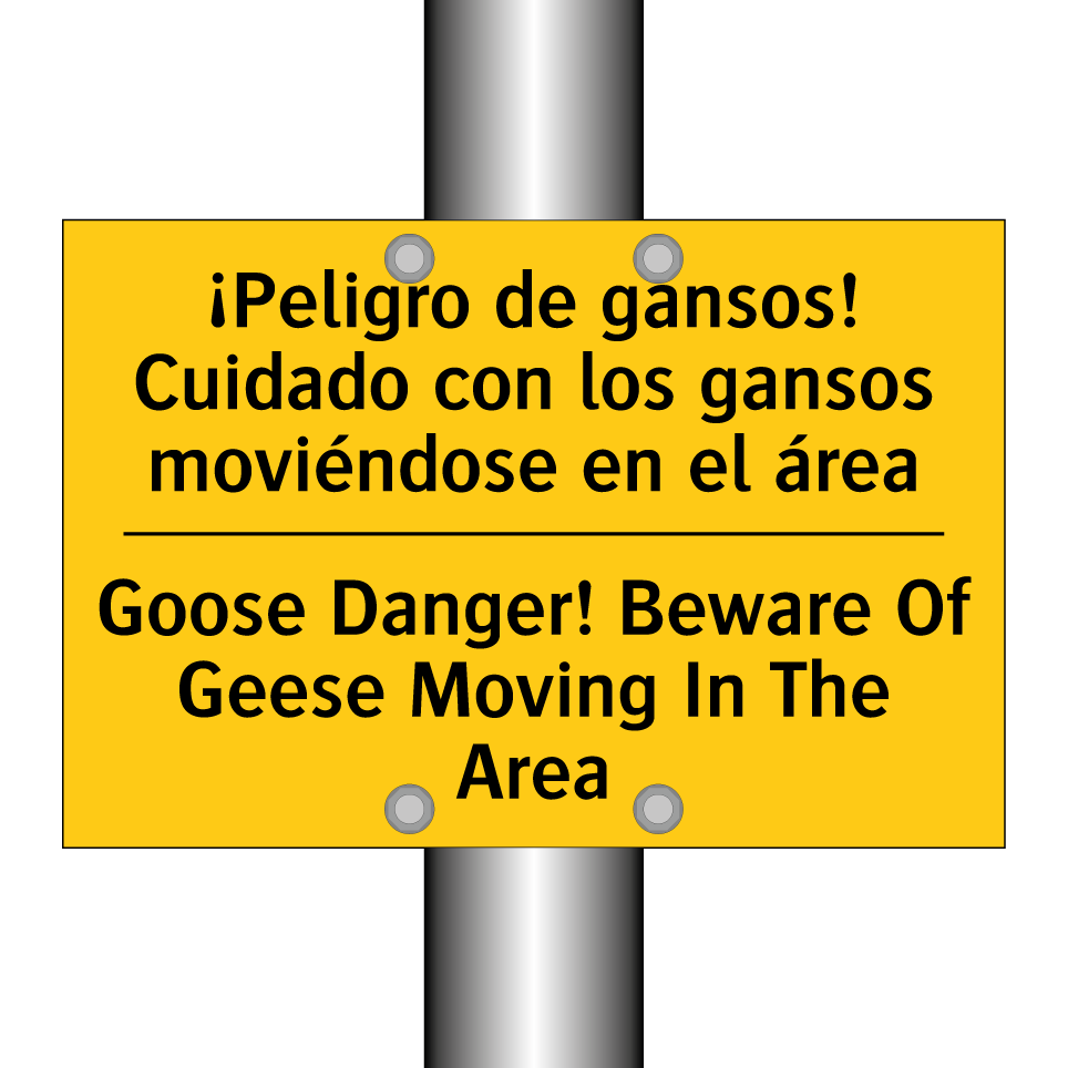 ¡Peligro de gansos! Cuidado con los gansos moviéndose en el área - Goose Danger! Beware Of Geese Moving In The Area