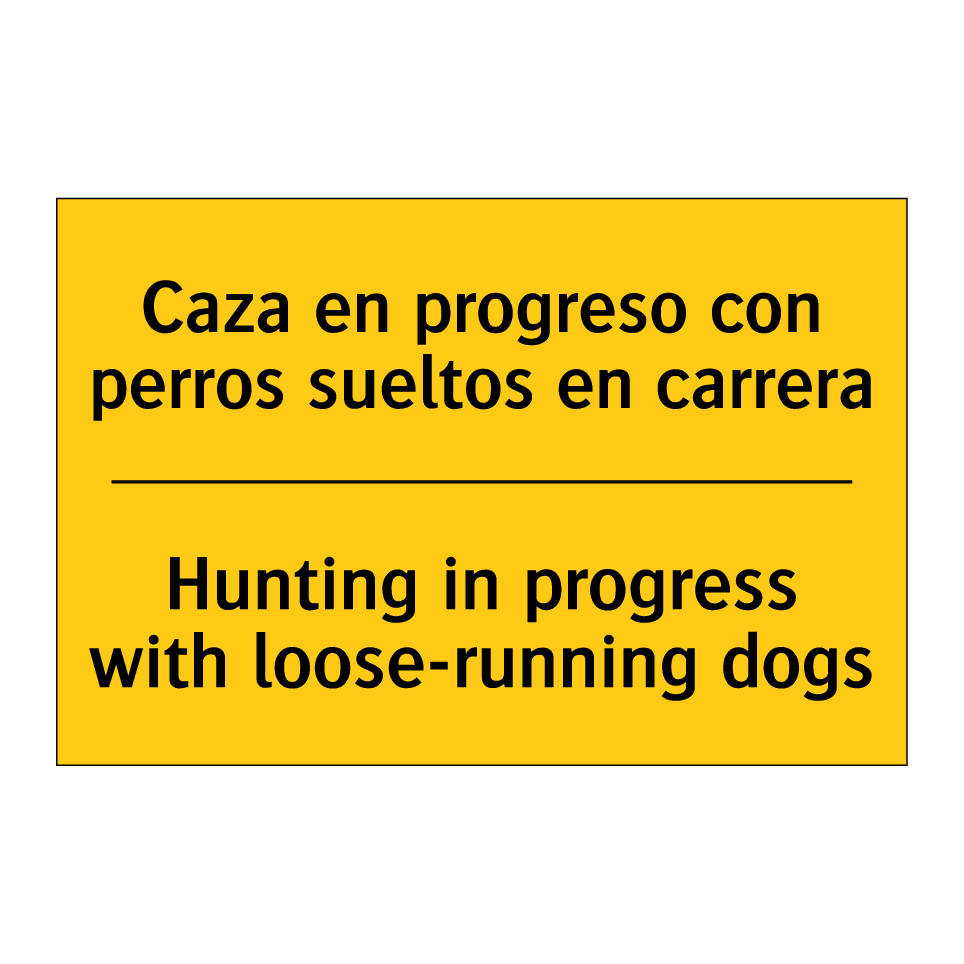 Caza en progreso con perros sueltos en carrera - Hunting in progress with loose-running dogs