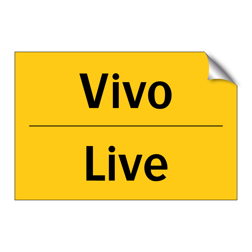 Vivo - Live