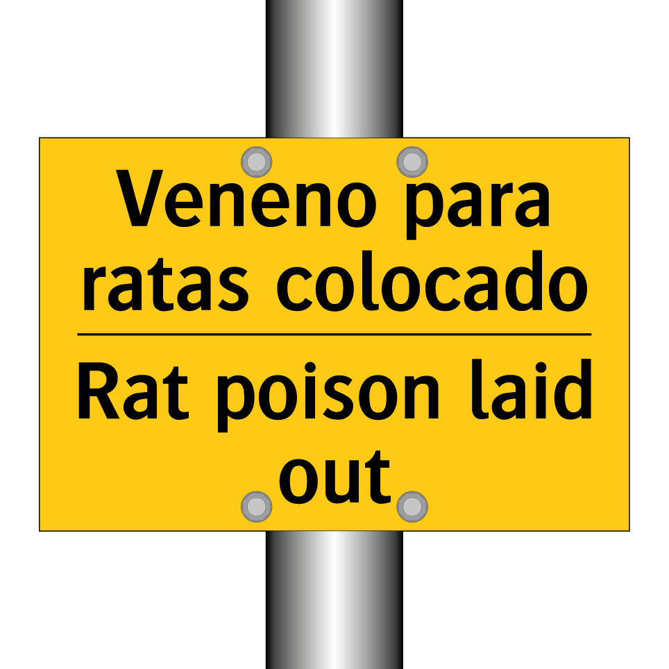 Veneno para ratas colocado - Rat poison laid out