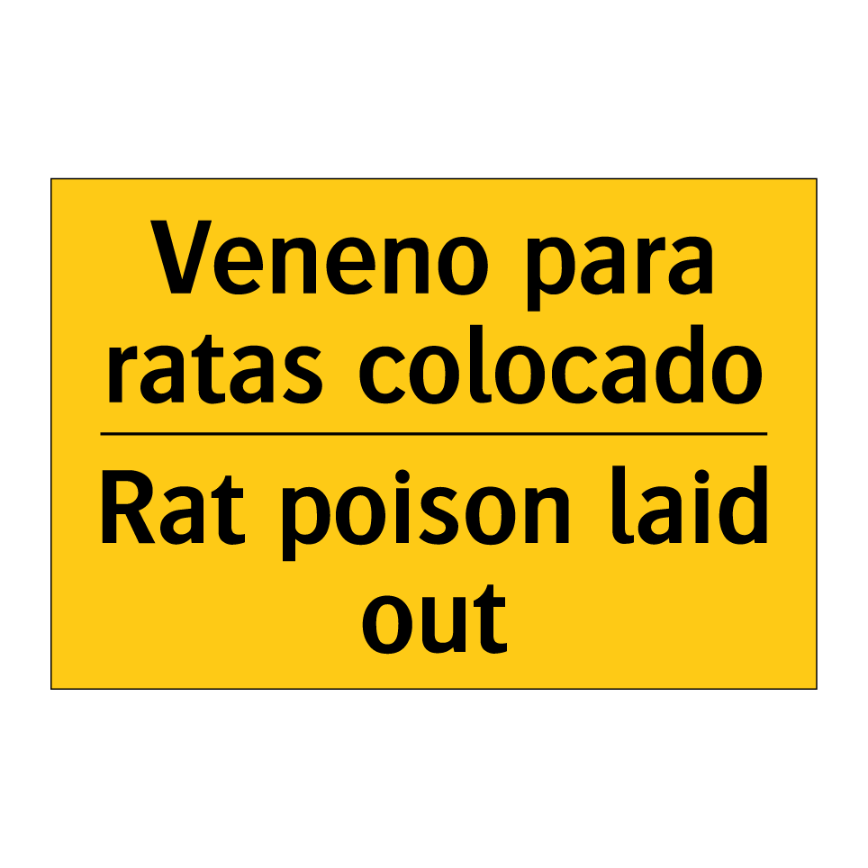 Veneno para ratas colocado - Rat poison laid out
