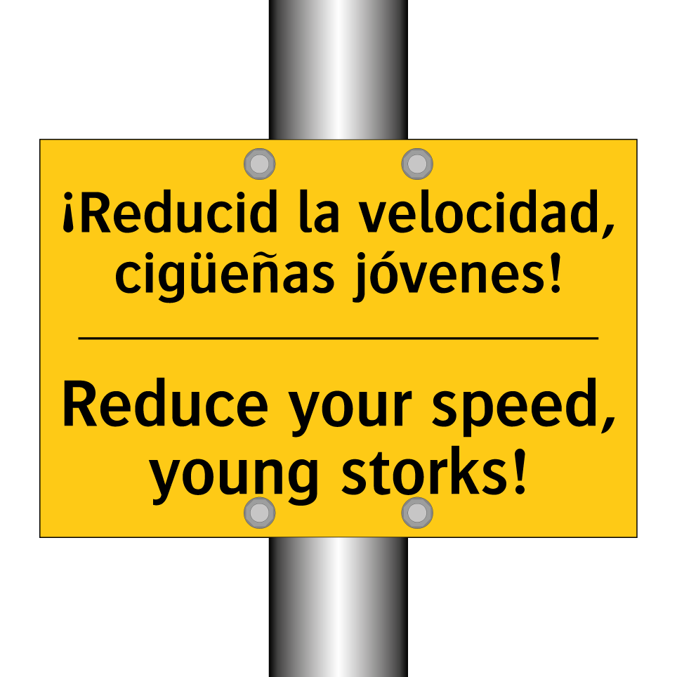 ¡Reducid la velocidad, cigüeñas jóvenes! - Reduce your speed, young storks!