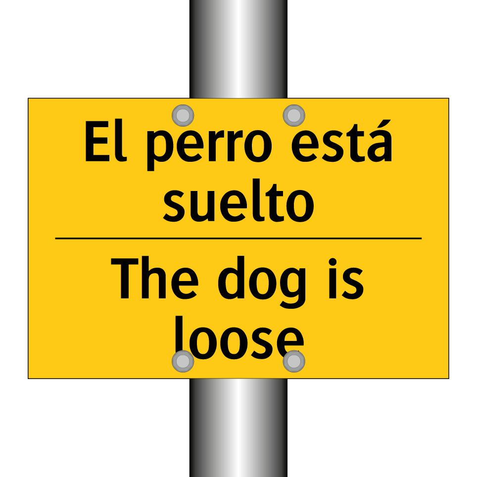 El perro está suelto - The dog is loose