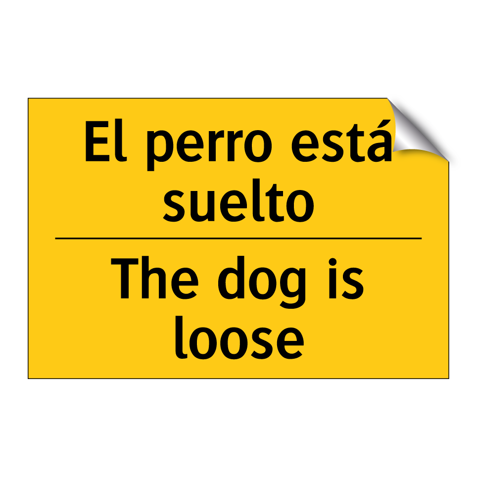 El perro está suelto - The dog is loose