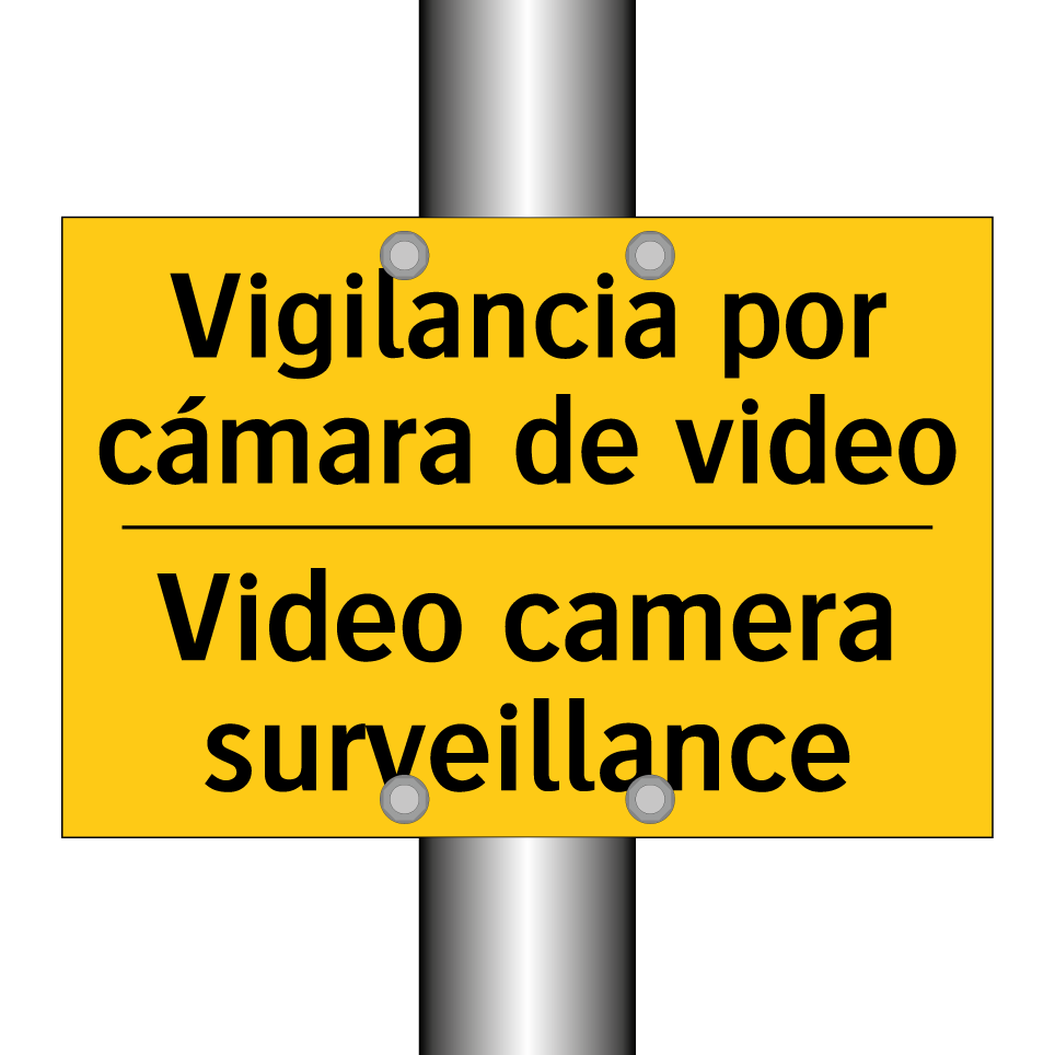 Vigilancia por cámara de video - Video camera surveillance