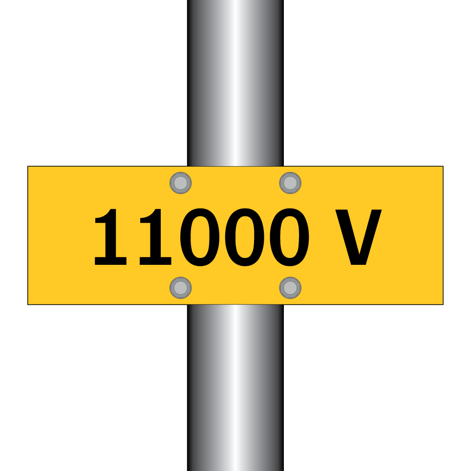 11000 V