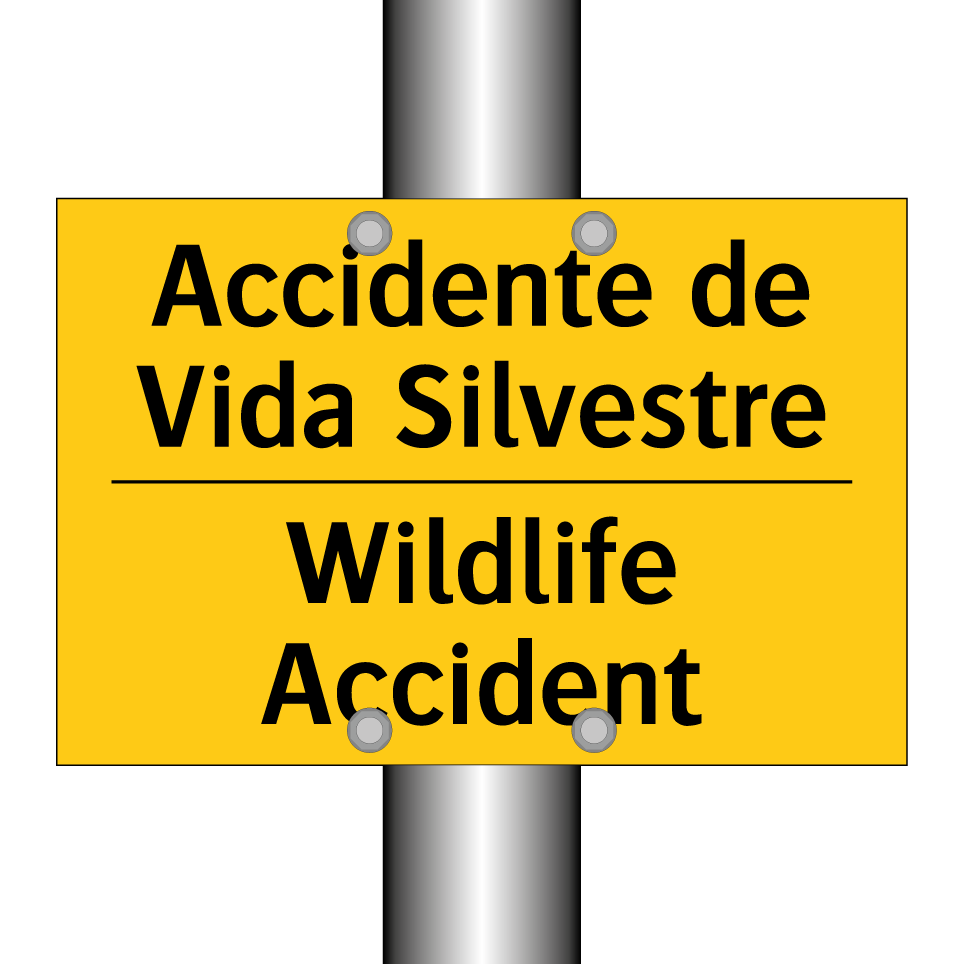 Accidente de Vida Silvestre - Wildlife Accident