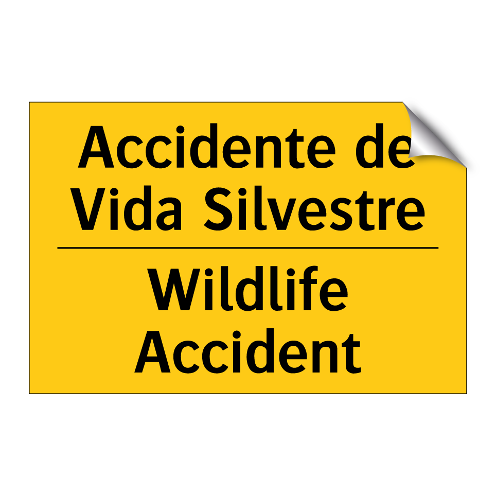 Accidente de Vida Silvestre - Wildlife Accident