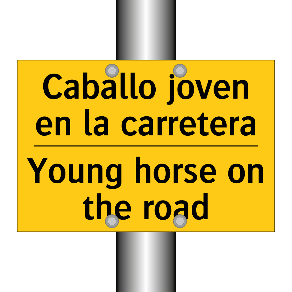 Caballo joven en la carretera - Young horse on the road